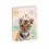 Agenda journalier